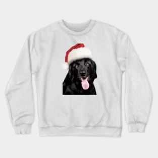 merry christmas dog Crewneck Sweatshirt